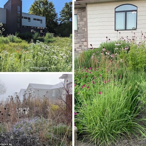15 Pocket Garden Guides on Natural Landscape Design (For Beginners)