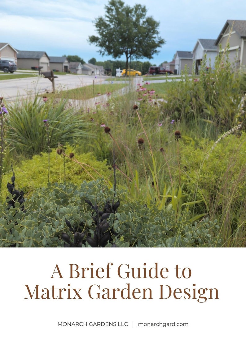 Matrix Sytle Planting A Brief Guide to Matrix Garden Design - Etsy