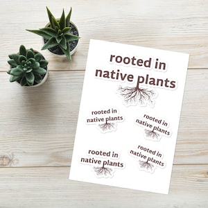Enraizado en plantas nativas (Hoja de pegatinas)