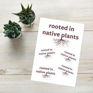 Rooted in Native Plants (Sticker Sheet)