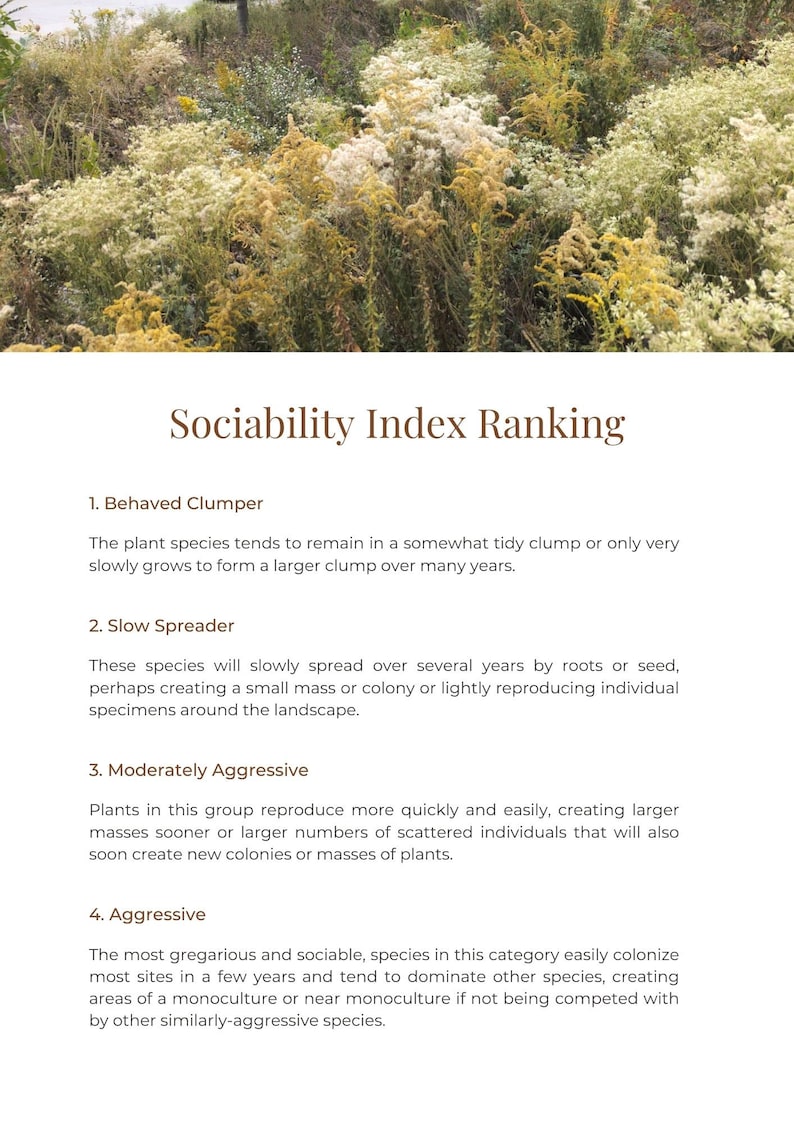 Intro to Plant Sociability Index image 2
