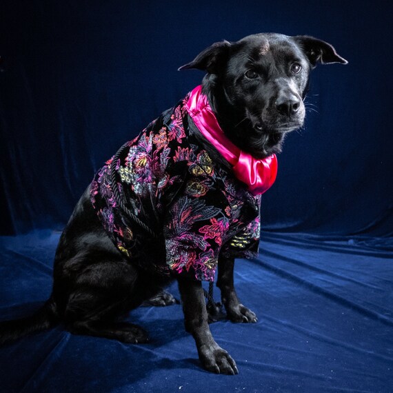 Dog hotsell smoking jacket