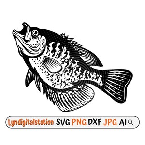 Crappie Fish Svg | Sun Fish Clipart | Outdoor Fishing Cut File | Fisherman Catch Stencil | Fishing T-shirt Design | Aquatic Mammal Dxf | Png