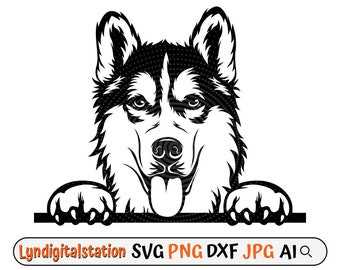 Husky Peeking Svg | Sled Dogs Clipart | Domestic Animal Cut File | Dog Breed Stencil | Dog Lover T-shirt Design | Siberian Husky Dxf | Png