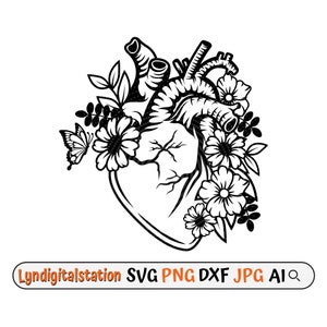 May include: A black and white illustration of a human heart with flowers and a butterfly. The heart is stylized and detailed, with veins and chambers visible. The flowers are arranged around the heart, with some petals overlapping. The butterfly is perched on a leaf, with its wings spread.