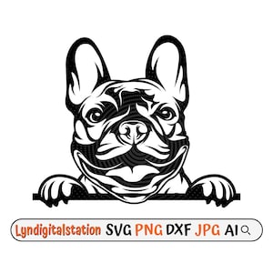 French Bulldog Peeking Svg | Animal Clipart | Frenchie Cut File | Bulldog Stencil | Canine Pet T-shirt Design|  Dog Breed Dxf | Frenchie Png