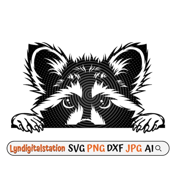 Raccoon Svg | Peeking Raccoon Clipart | Curios Rodent Cut File | Peekaboo Stencil | Raccoon Tshirt Design | Hiding Raccoon Dxf | Rodent Png