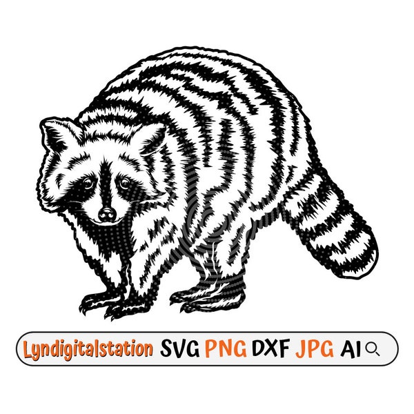 Raccoon Svg | Wild Animal Clipart | Nocturnal Mammal Cut File | Fat Ringtail Stencil | Woodland Tshirt Design | Scavenger Dxf | Omnivore Png