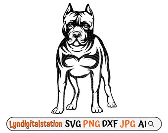 Pit Bull Svg | American Pit Bull Terrier Clipart | Dog Breed Cut File | Pit Bull Dogs Stencil | Domestic Animal T-shirt Design | Dxf | Png