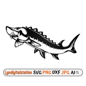 Sturgeon Fish Svg | Sturgeon Fishing Clipart | Ray-finned fish Cut File | Angler Stencil | Marinelife shirt Design | Lake Sturgeon Dxf | Png