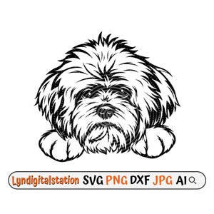 Shih Tzu Svg | Dog Clipart | Pet Animal Cut File | Domestic Animal Stencil | Dog Lover T-shirt Design | Dog Breed Dxf | Puppy Png