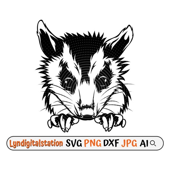 Opossum Peeking Svg | Peeking Animal Clipart | Zoo Animal Cut File | Wild Animal Stencil | Marsupial Mammal T-shirt Design | Dxf | Png
