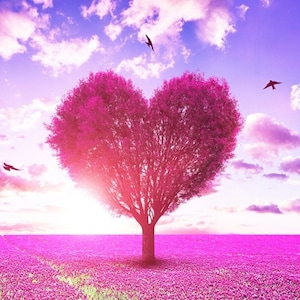 LOVE READING Psychic and Tarot - 20 MINUTEN