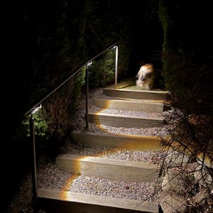 May include: Outdoor staircase with built-in lighting. The steps are made of wood and gravel, with a metal handrail. The scene is illuminated by warm-toned lights, creating a welcoming ambiance. A dog is visible at the top of the stairs.