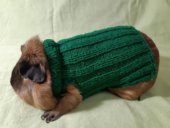 Adorable Sweater Mini Hamster Crochet 