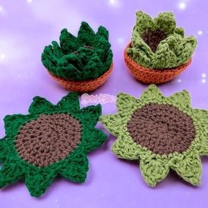 Crochet Succulent Coasters Set Of 3