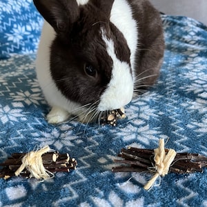 Tiny Apple Wood Stick Toy Bundle for Bunny Rabbits and more! Natural chew stick bundle for rabbits, hamsters, chinchillas, and more!