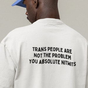 TRANS PEOPLE Are Not The Problem You Absolute Nitwits Shirt, Trans Rights Tshirt, Protect Trans Kids, Trans Ally, Trans Lives Matter