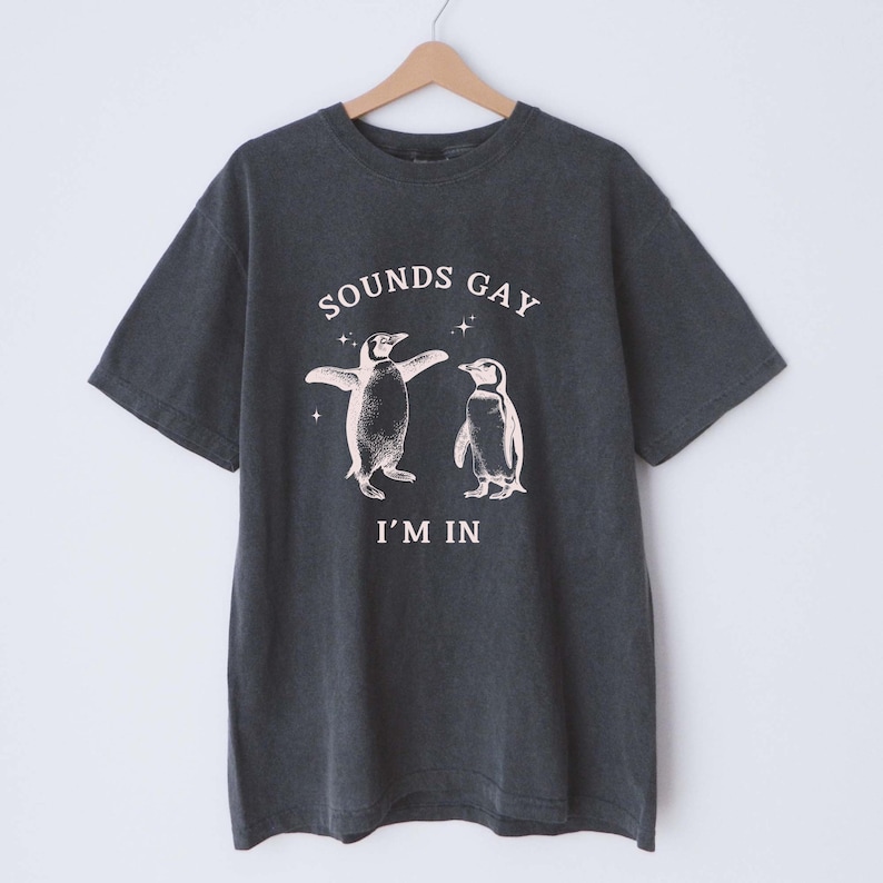 May include: A dark gray t-shirt with a graphic print of two penguins and the text "SOUNDS GAY I'M IN".