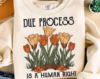 El debido proceso es un derecho humano Png, Antiautoritario, Salvar la democracia, Crisis constitucional, Me encanta el debido proceso, Pro inmigración, Anti Trump