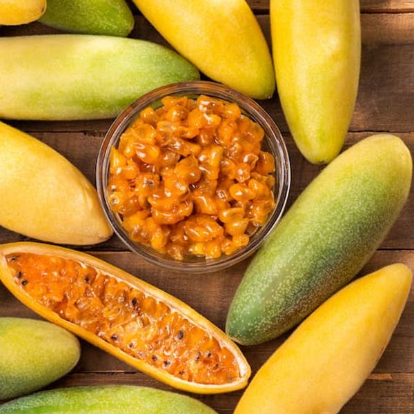 10 Banana Passion Fruit Seeds, Sweet Tropical Vine Plant, Exotic Edible Fruit, Climbing Garden Plant for Home Growing
