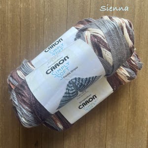 Caron Simply Soft Speckle Stripes  acrylic yarn  Worsted weight  Sienna Ready to ship