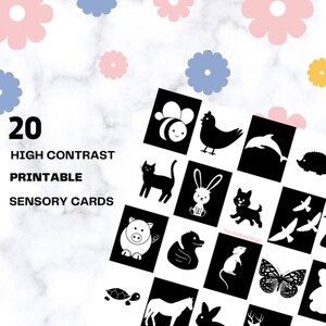 Pacchetto di 20 carte per bambini ad alto contrasto - Carte sensoriali Montessori stampabili in bianco e nero per animali di stimolazione infantile - DOWNLOAD DIGITALE