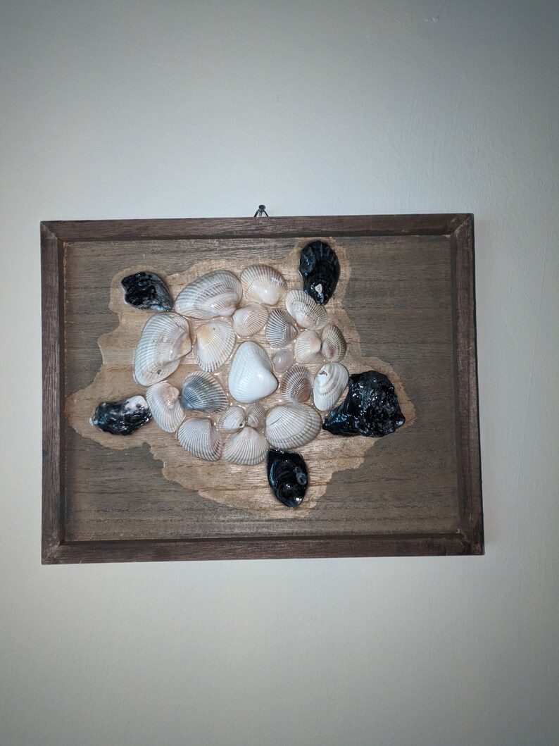 Pu&ograve; includere: Un'opera d'arte da parete in legno incorniciata con una tartaruga marina realizzata con conchiglie. La tartaruga &egrave; realizzata con una variet&agrave; di conchiglie in tonalit&agrave; di bianco, crema e marrone. La testa e le zampe della tartaruga sono realizzate con conchiglie nere.