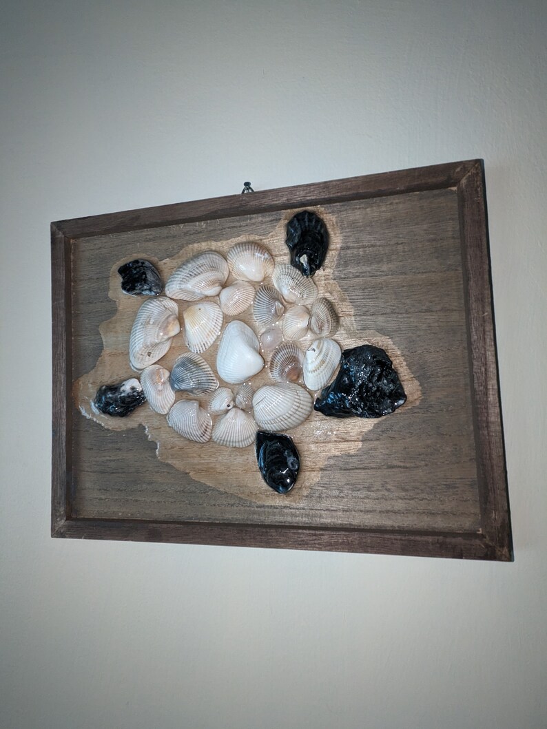 Pu&ograve; includere: Un'opera d'arte murale in legno incorniciata con una tartaruga marina realizzata con conchiglie. Il guscio della tartaruga &egrave; fatto di una variet&agrave; di conchiglie di diverse forme e dimensioni. La testa e le zampe della tartaruga sono fatte di pietre nere.