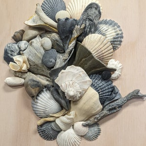 Shell Collage