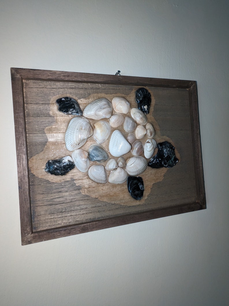 Pu&ograve; includere: Un'opera d'arte da parete in legno incorniciata con un design a forma di tartaruga realizzato con conchiglie. La tartaruga &egrave; realizzata con una variet&agrave; di conchiglie in tonalit&agrave; di bianco, crema e marrone. La testa e le zampe della tartaruga sono realizzate con conchiglie nere.