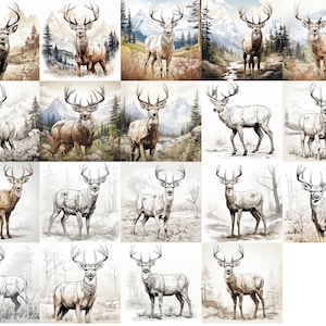 Whitetail Buck Deer Collection - 19 SVG JPG Bilddateien für Cricut Lasergravur CNC & T-Shirt-Design Sportler Jagd im Freien Natur