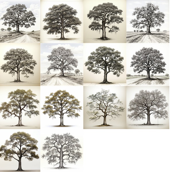 14 Oak Tree SVG & PNG Files for Engraving, CNC Carving, and Crafts.  Laser Engraving Cricut T-shirt design scrapbooking journaling