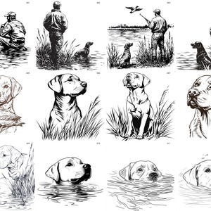 Colección SVG PNG de perros labradores de caza para láser, Cricut, CNC, camisetas, tatuajes