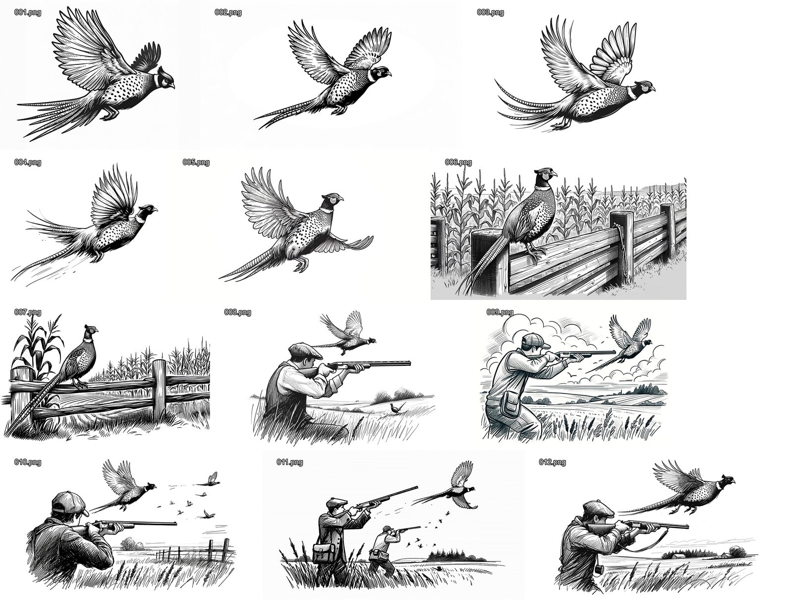 12 Ringneck Pheasant and Pheasant Hunting