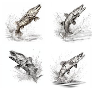 Northern Pike Fish svg file - 8 vector graphics in one file.  multiple svg&#39;s of Northern Pike jumping from the water.  Fish, anglers,fishing