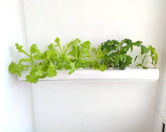 Hydroponic System DWC