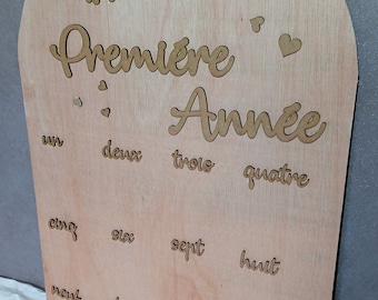 Tableau  premier anniversaire  1 an de bébé - photos mensuelles - premiére année