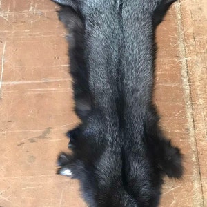May include: A silver fox fur pelt with a long, thick tail. The fur is soft and fluffy, and the pelt is in good condition.