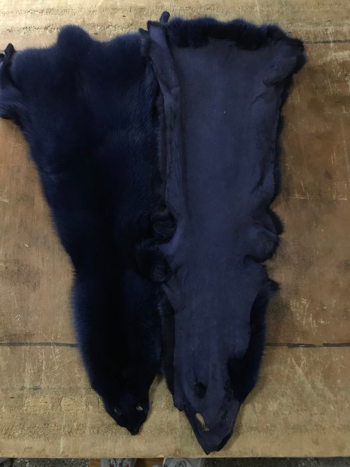 Dyed Blue Marine Fur Fox Pelts/skins - Etsy