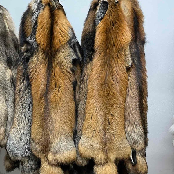 Peaux/peaux de fourrure de renard de croix d'or de feu, peaux de fourrure scandinaves, vraies fourrures