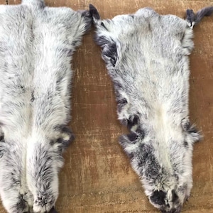 Dyed snowtop grey Fur fox skins/pelts