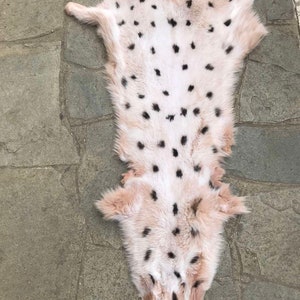 Dyed snowtop fox skins/pelts with stamp, luxury fur skin