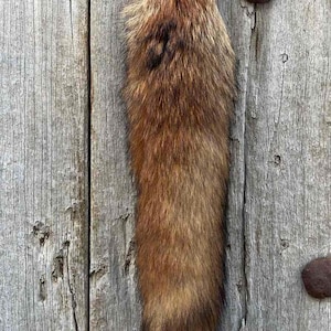 XXL luxury RED CANADIAN fox tail,Fluffy tail,fur cosplay hide tail