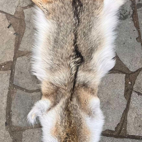 Coyote Fur Skins/Pelts, Luxury Quality Fur