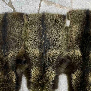 Dyed Scandinavian finnraccoon skins/pelts, luxury Fur Garments