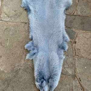 Dyed Sky Blue Fur Fox Pelts/Skins, Scandinavian Fur,Top quality