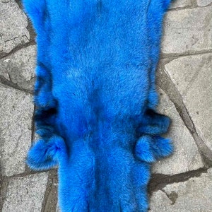 Puede incluir: Una piel de zorro azul, extendida sobre una superficie de piedra gris.