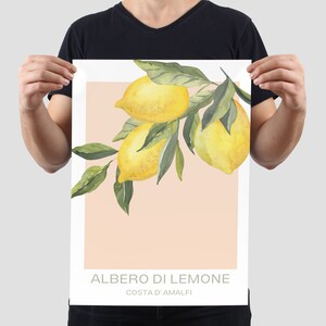 Op de afbeelding: Een aquarel-illustratie van een tak van een citroenboom met rijpe gele citroenen en groene bladeren. De achtergrond is licht perzikkleurig. De tekst "ALBERO DI LIMONE" en "COSTA D'AMALFI" is onder de afbeelding gedrukt.