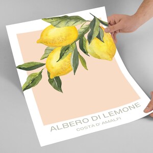 Op de afbeelding: Een aquarel van een tak van een citroenboom met drie citroenen en groene bladeren op een perzikkleurige achtergrond. De tekst "ALBERO DI LIMONE COSTA D'AMALFI" staat onderaan de afbeelding.